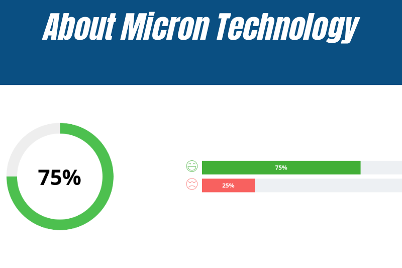 About Micron Technology (1)
